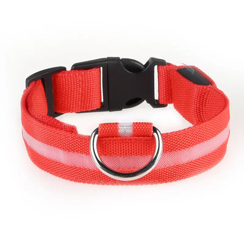 Glow-in-the-dark nylon dog collar with adjustable fit