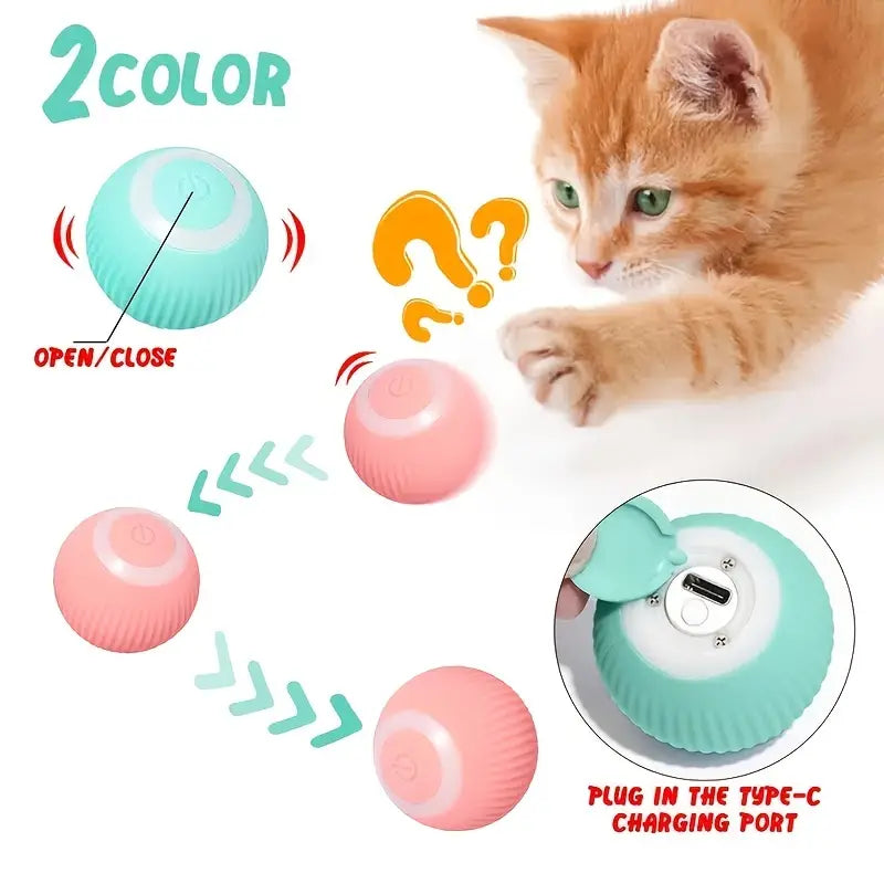 Interactive automatic cat toy for indoor play and stimulation