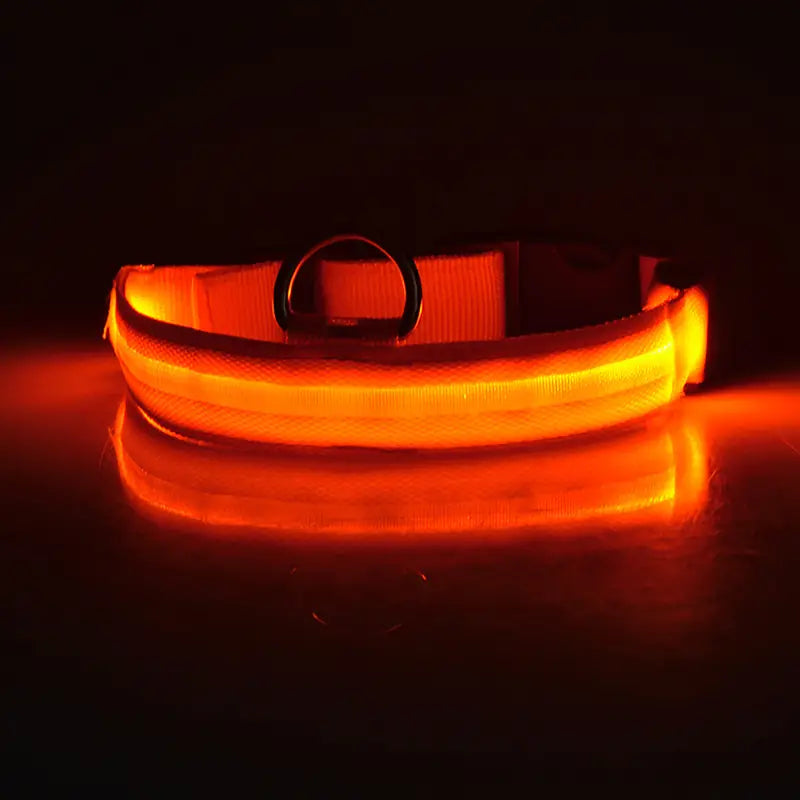 Glow-in-the-dark nylon dog collar with adjustable fit