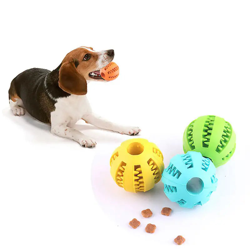 Interactive dog ball toy with chew and food dispenser features