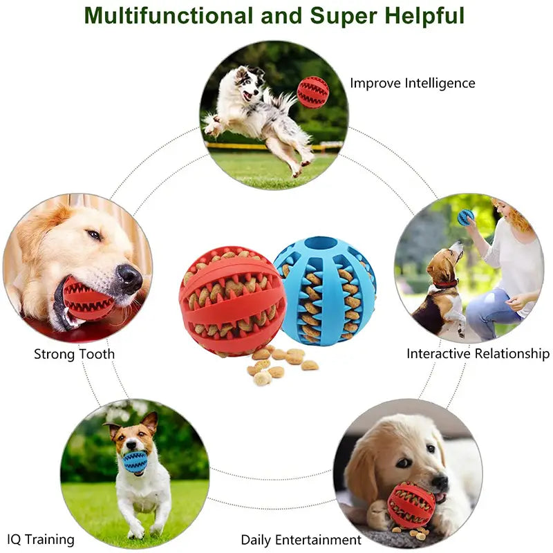 Interactive dog ball toy with chew and food dispenser features