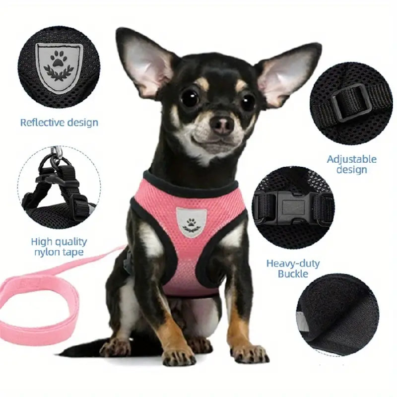 Breathable Mesh Dog Harness with Reflective Leash Set