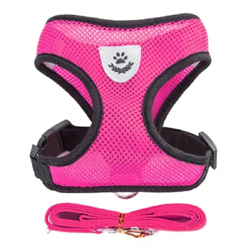 Breathable Mesh Dog Harness with Reflective Leash Set