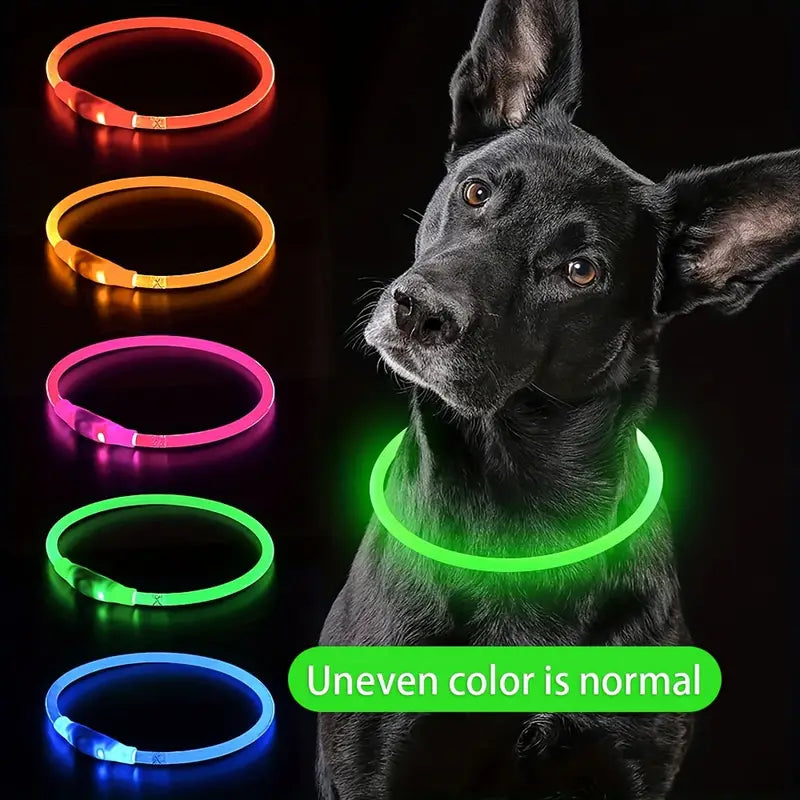 USB rechargeable LED dog collar for visibility at night