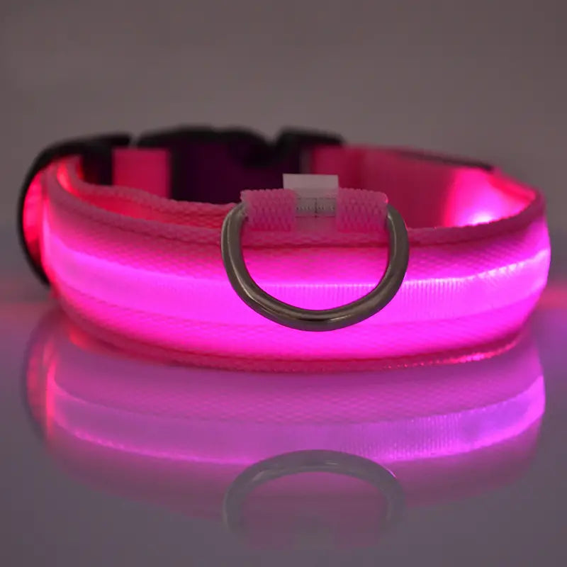 Glow-in-the-dark nylon dog collar with adjustable fit