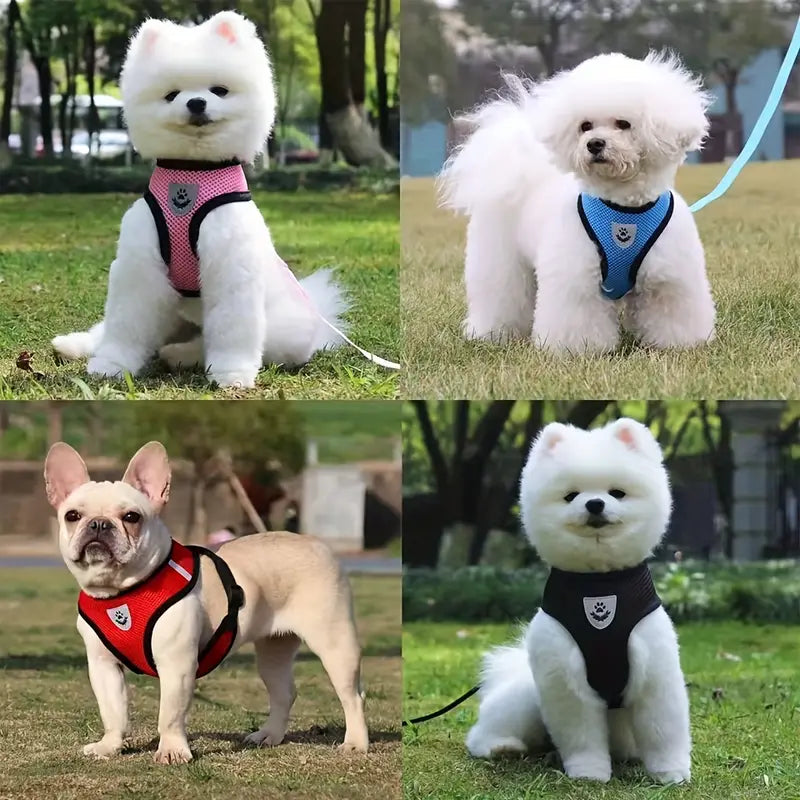 Breathable Mesh Dog Harness with Reflective Leash Set