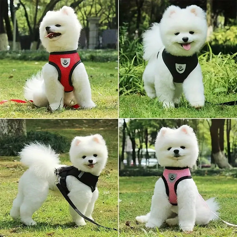 Breathable Mesh Dog Harness with Reflective Leash Set