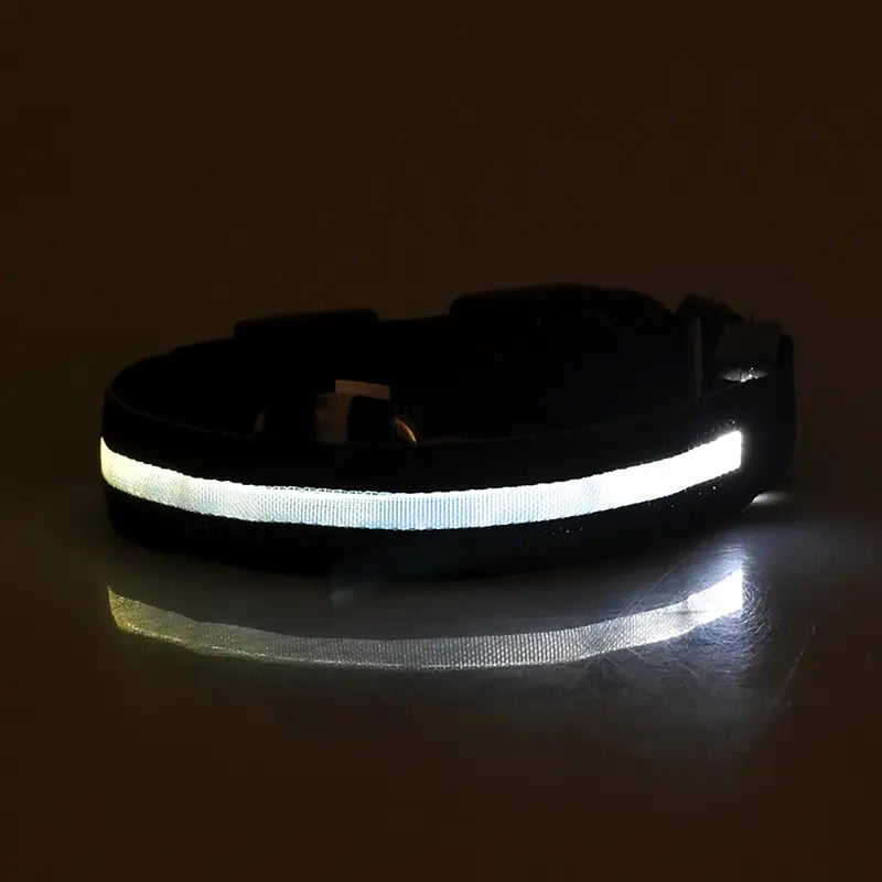 Glow-in-the-dark nylon dog collar with adjustable fit