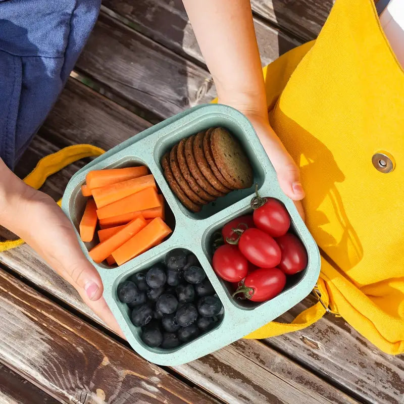 Bento snack container with 4 compartments and transparent lids