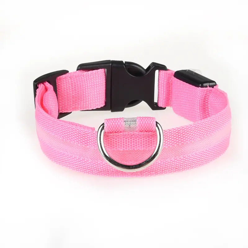 Glow-in-the-dark nylon dog collar with adjustable fit