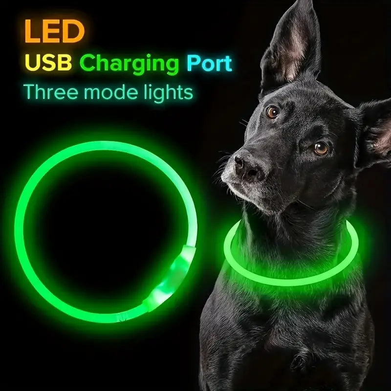 USB rechargeable LED dog collar for visibility at night