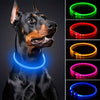 USB rechargeable LED dog collar for visibility at night