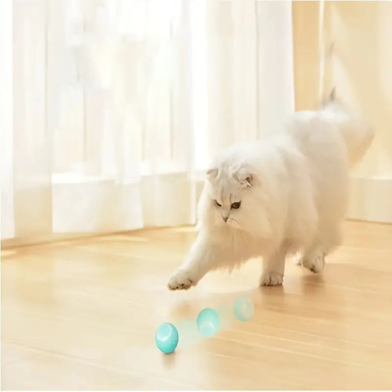 Interactive automatic cat toy for indoor play and stimulation