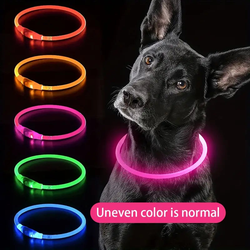 USB rechargeable LED dog collar for visibility at night