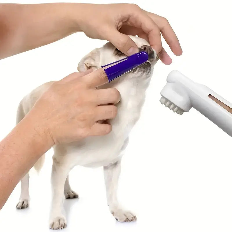 4pcs Pet Dental Cleaning Kit