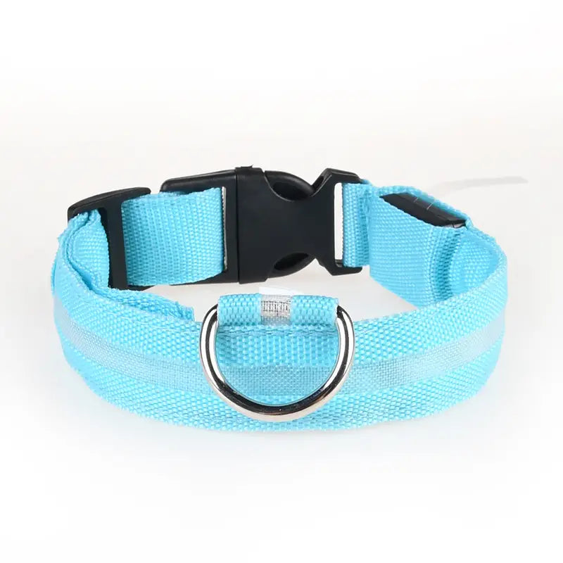 Glow-in-the-dark nylon dog collar with adjustable fit