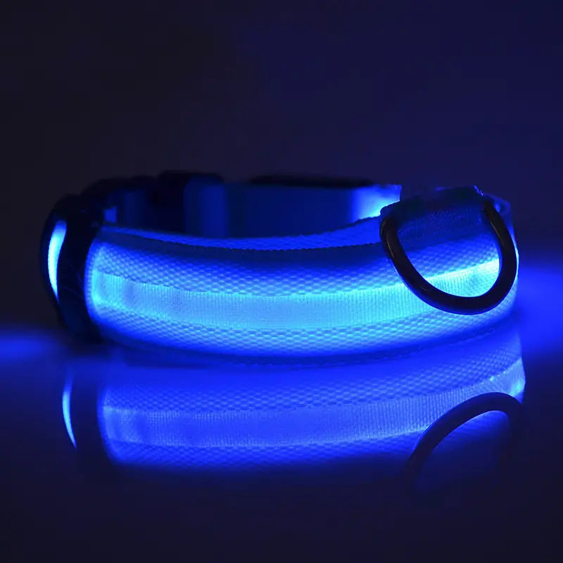 Glow-in-the-dark nylon dog collar with adjustable fit