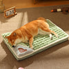 Four Seasons Universal Dog Mat