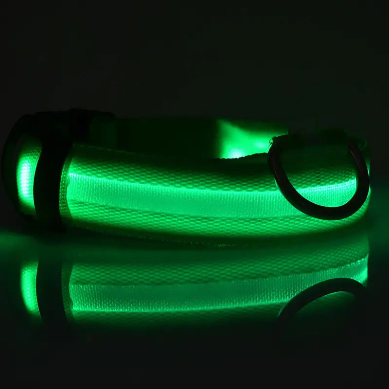 Glow-in-the-dark nylon dog collar with adjustable fit