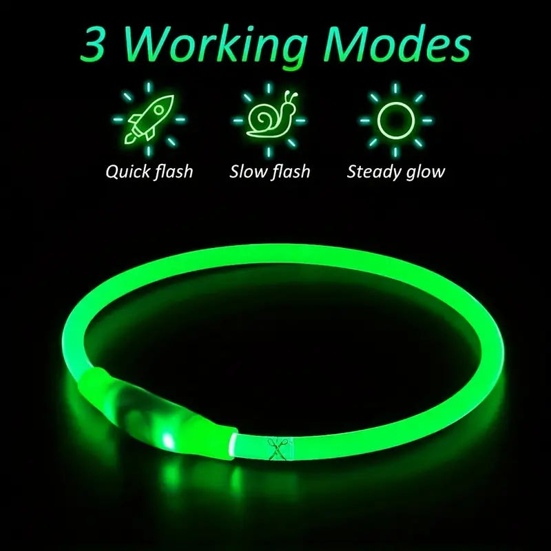 USB rechargeable LED dog collar for visibility at night