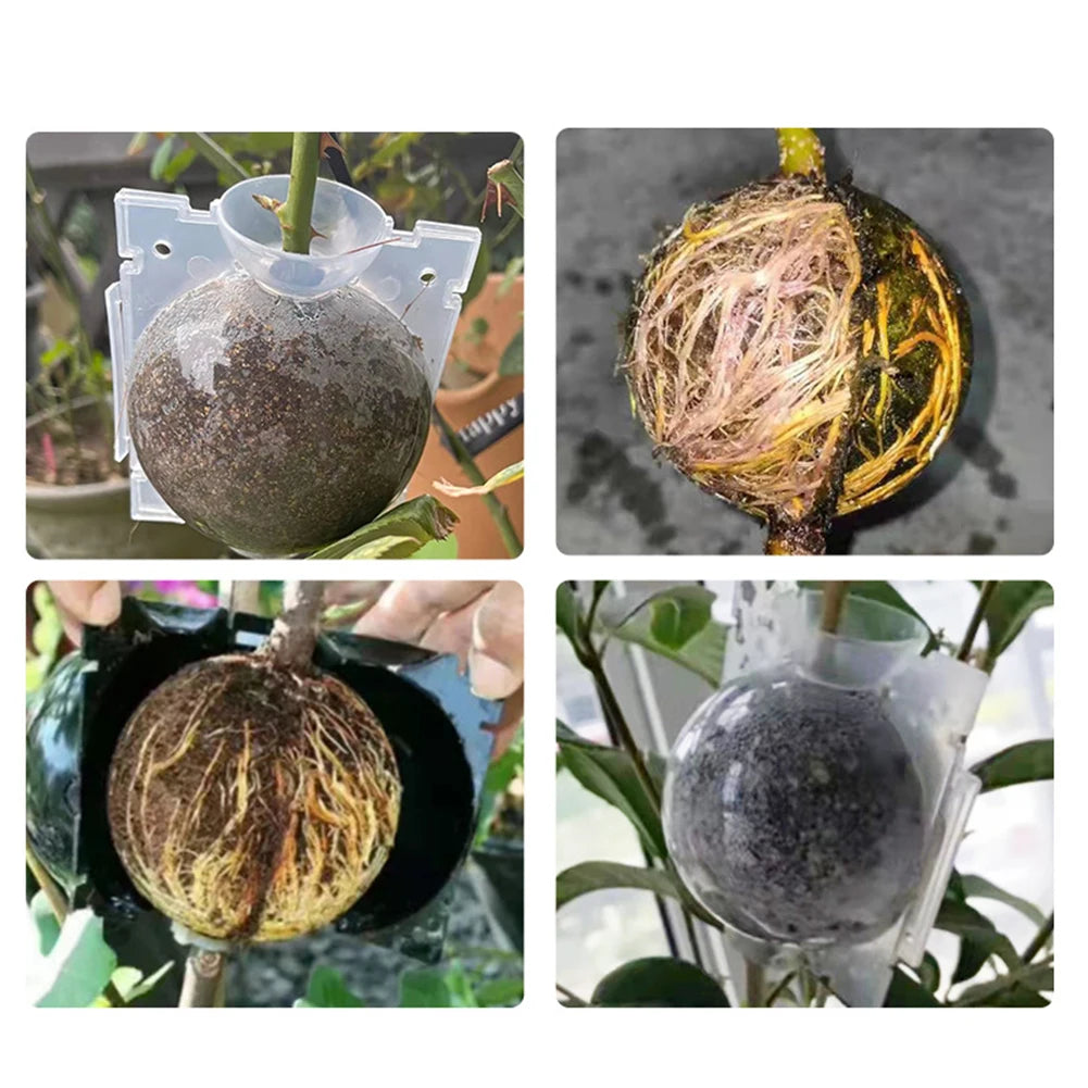 Garden Plant Rooting Ball Incubator