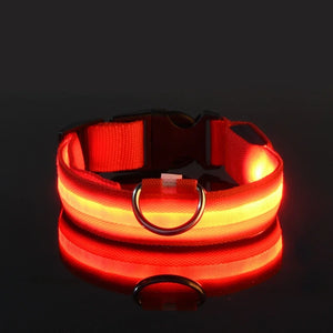 Glowing LED nylon dog collar for nighttime safety