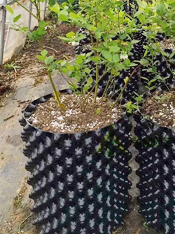 Air pruning nursery pots for root control and growth