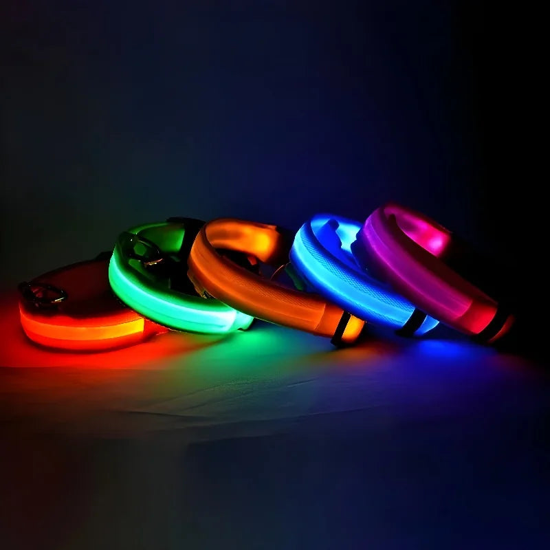 Glowing LED nylon dog collar for nighttime safety