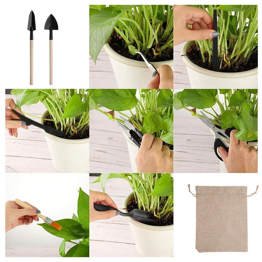 13PCS Mini Succulent Garden Tool Set