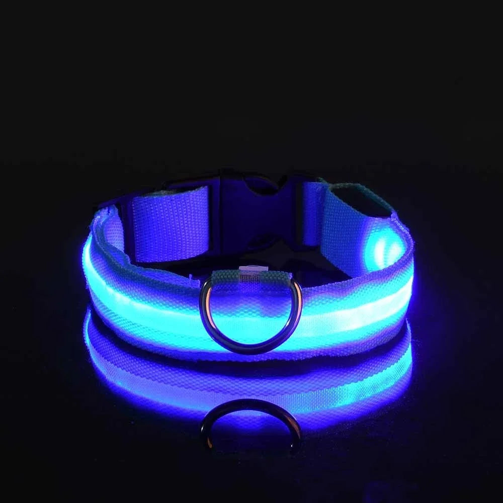 Glowing LED nylon dog collar for nighttime safety