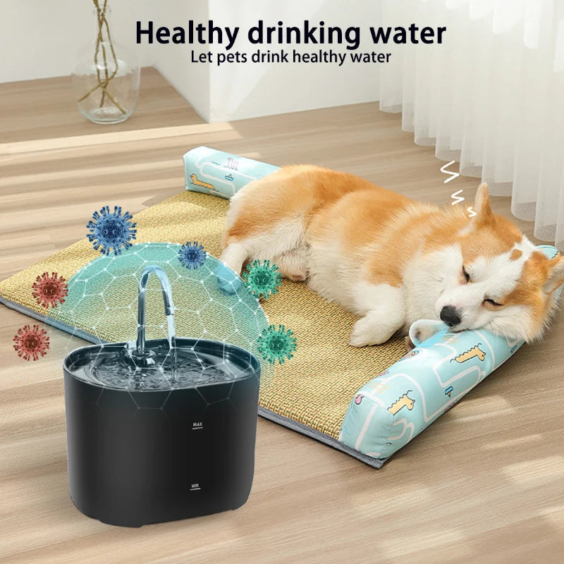 Automatic stainless steel cat water fountain for hydration