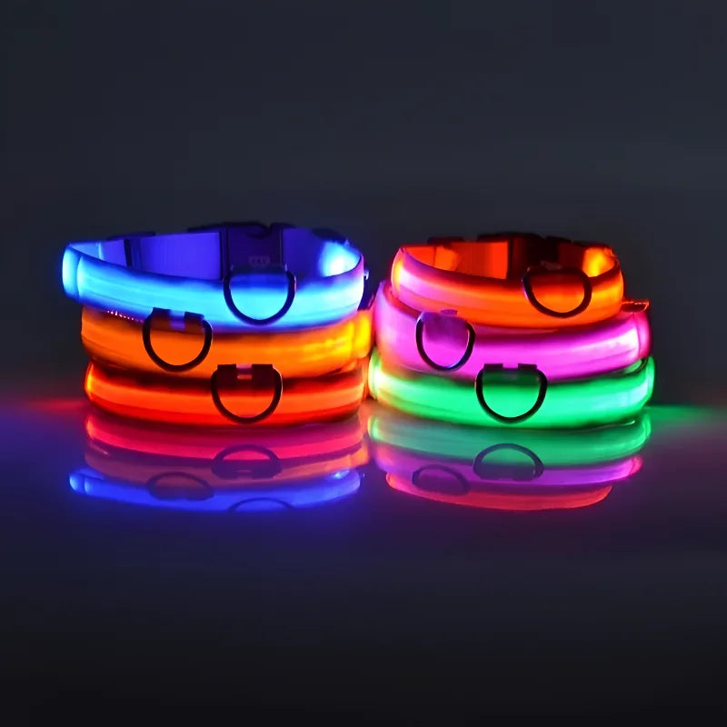 Glowing LED nylon dog collar for nighttime safety