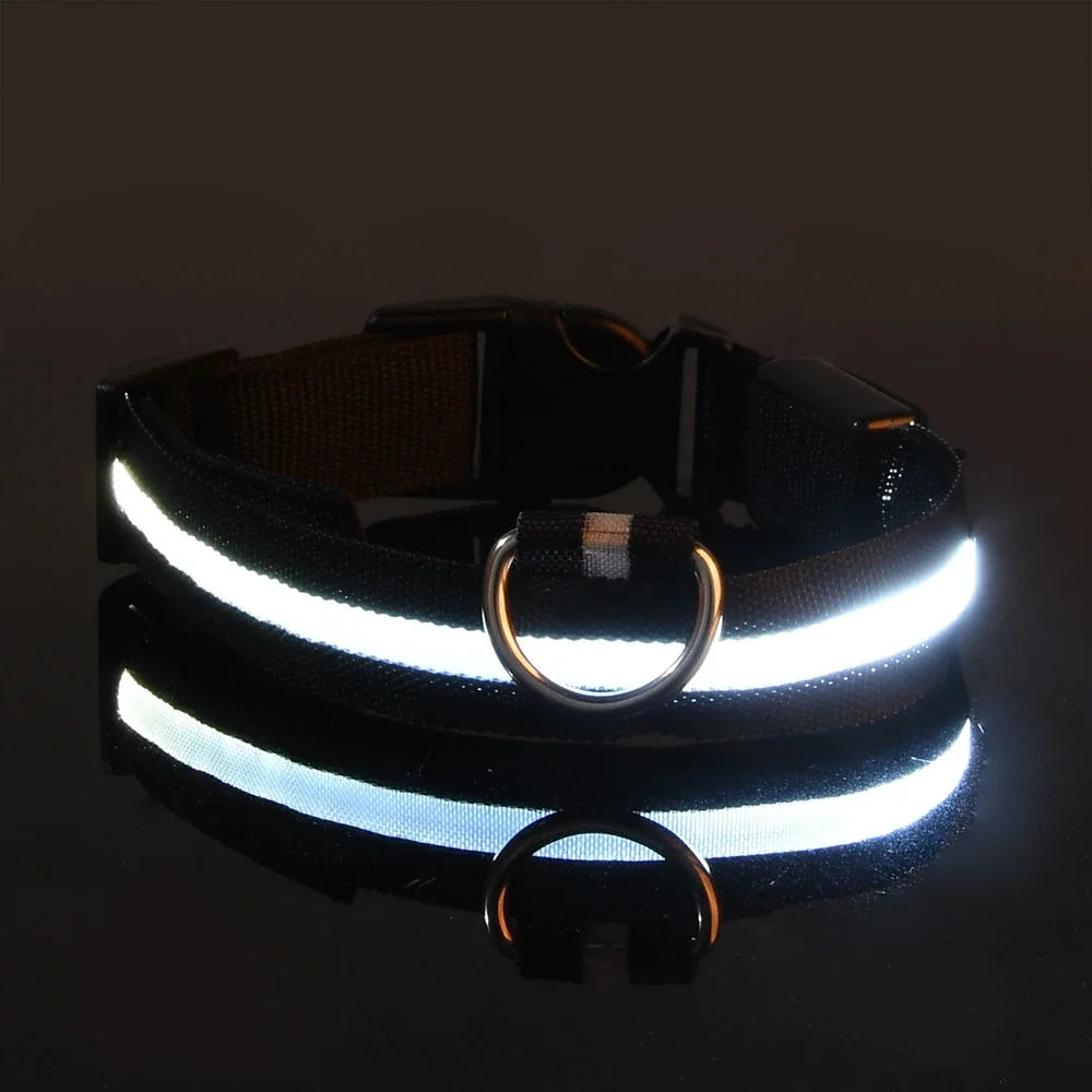 Glowing LED nylon dog collar for nighttime safety