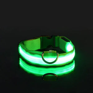 Glowing LED nylon dog collar for nighttime safety