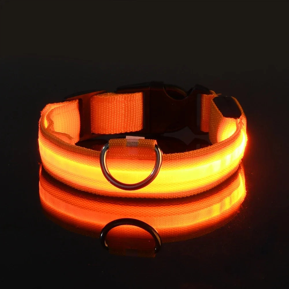 Glowing LED nylon dog collar for nighttime safety