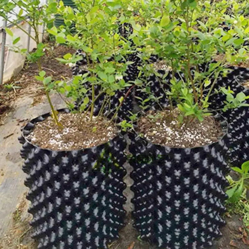 Air pruning nursery pots for root control and growth