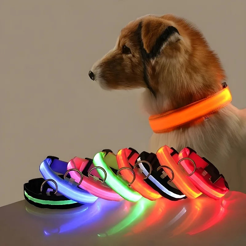 Glowing LED nylon dog collar for nighttime safety