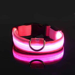 Glowing LED nylon dog collar for nighttime safety