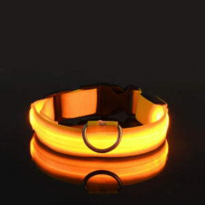 Glowing LED nylon dog collar for nighttime safety