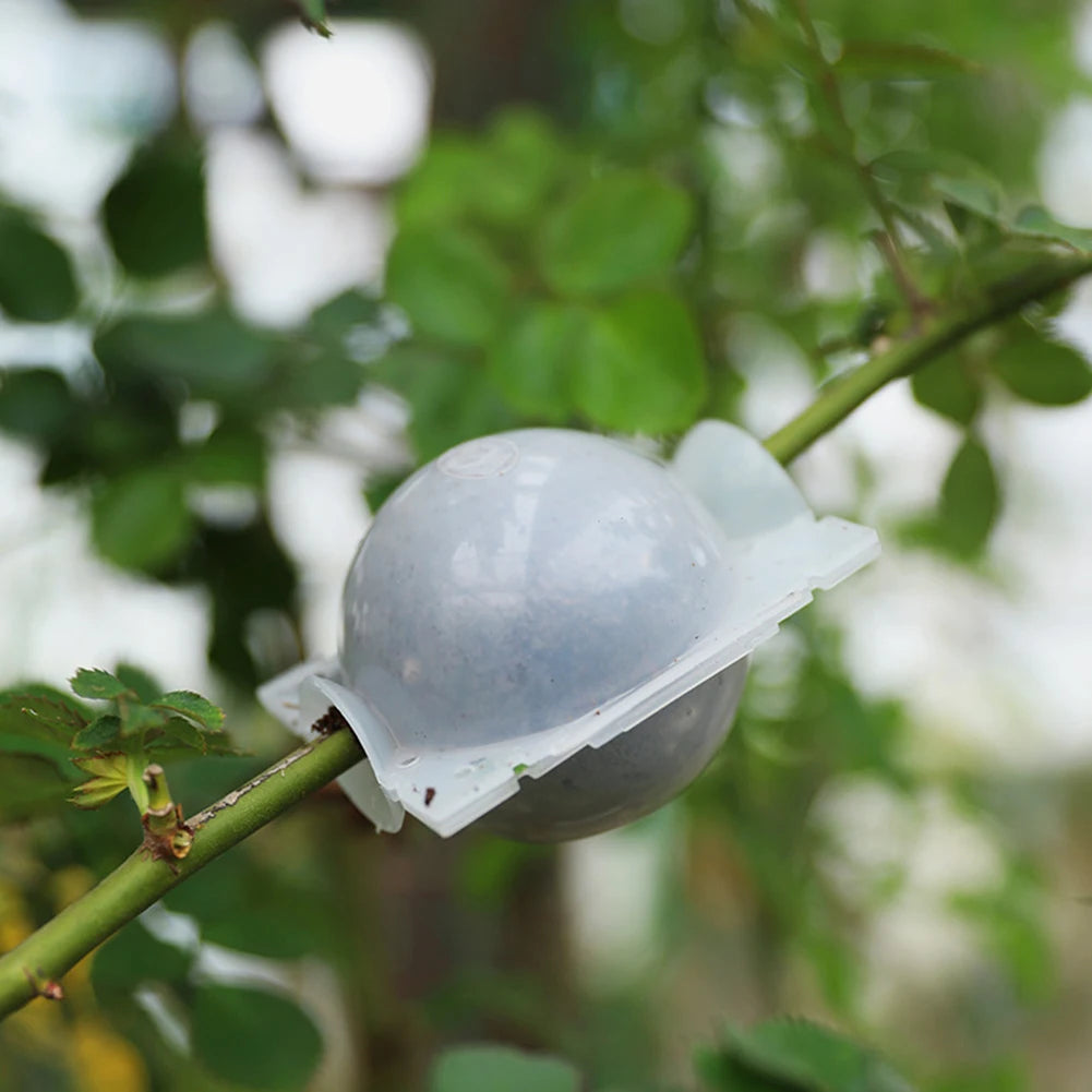 Garden Plant Rooting Ball Incubator