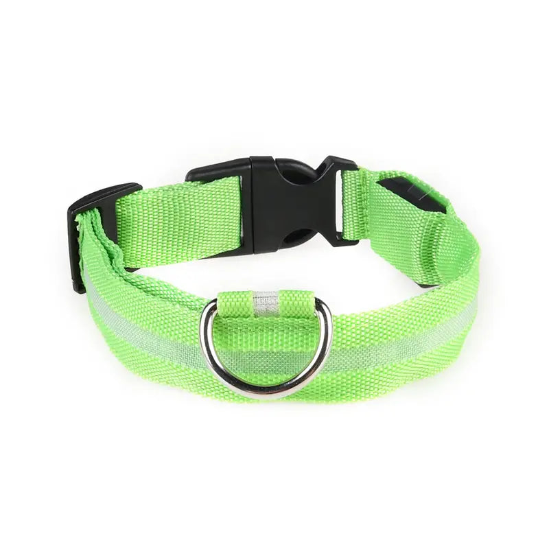 Glow-in-the-dark nylon dog collar with adjustable fit