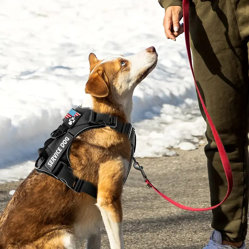 5PCS Reflective Service Dog Harness Vest