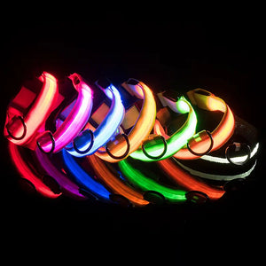 Glow-in-the-dark nylon dog collar with adjustable fit