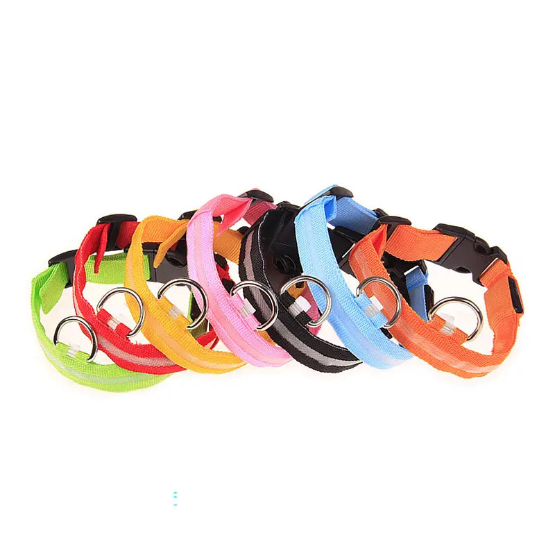 Glow-in-the-dark nylon dog collar with adjustable fit