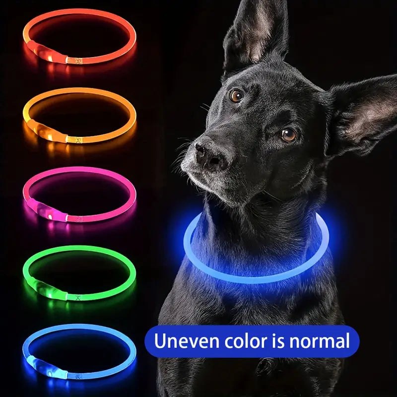 USB rechargeable LED dog collar for visibility at night