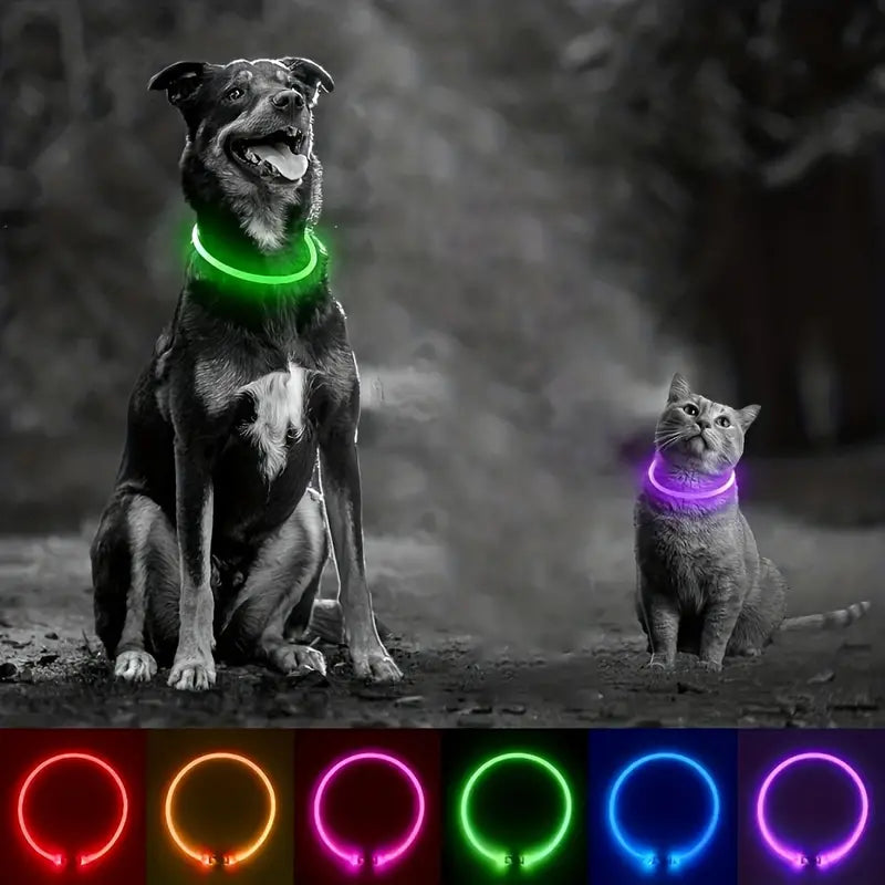 USB rechargeable LED dog collar for visibility at night