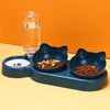 3-in-1 Automatic Pet Feeder