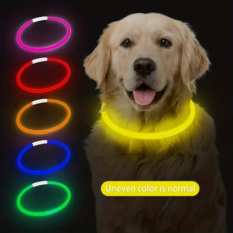 USB rechargeable LED dog collar for visibility at night