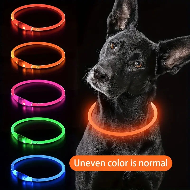 USB rechargeable LED dog collar for visibility at night