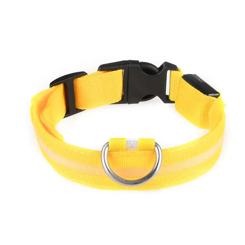 Glow-in-the-dark nylon dog collar with adjustable fit